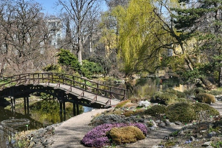 University of Wrocław Botanical Garden, Poland